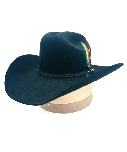 Stetson 6x Roper Black